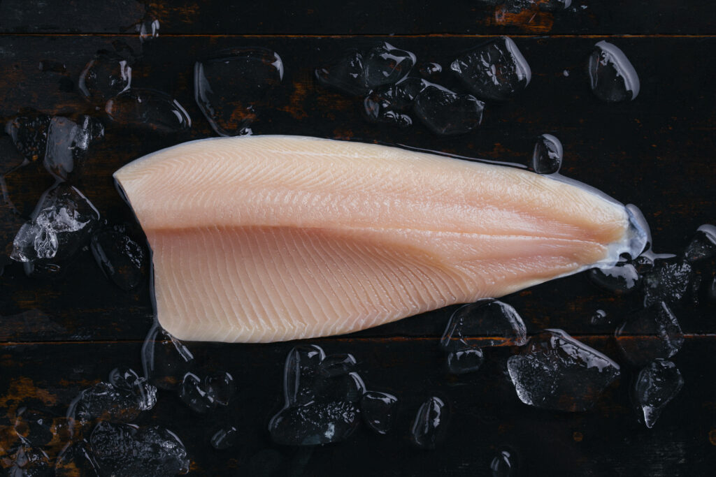 Rainbow Trout