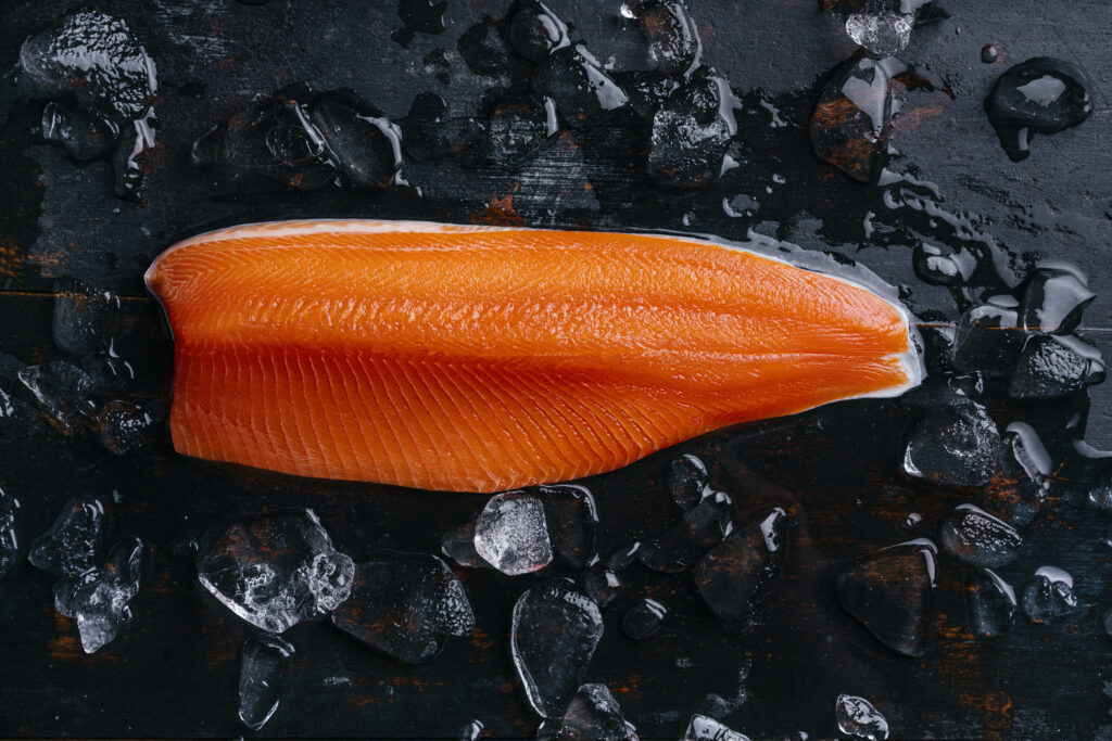 Steelhead Trout